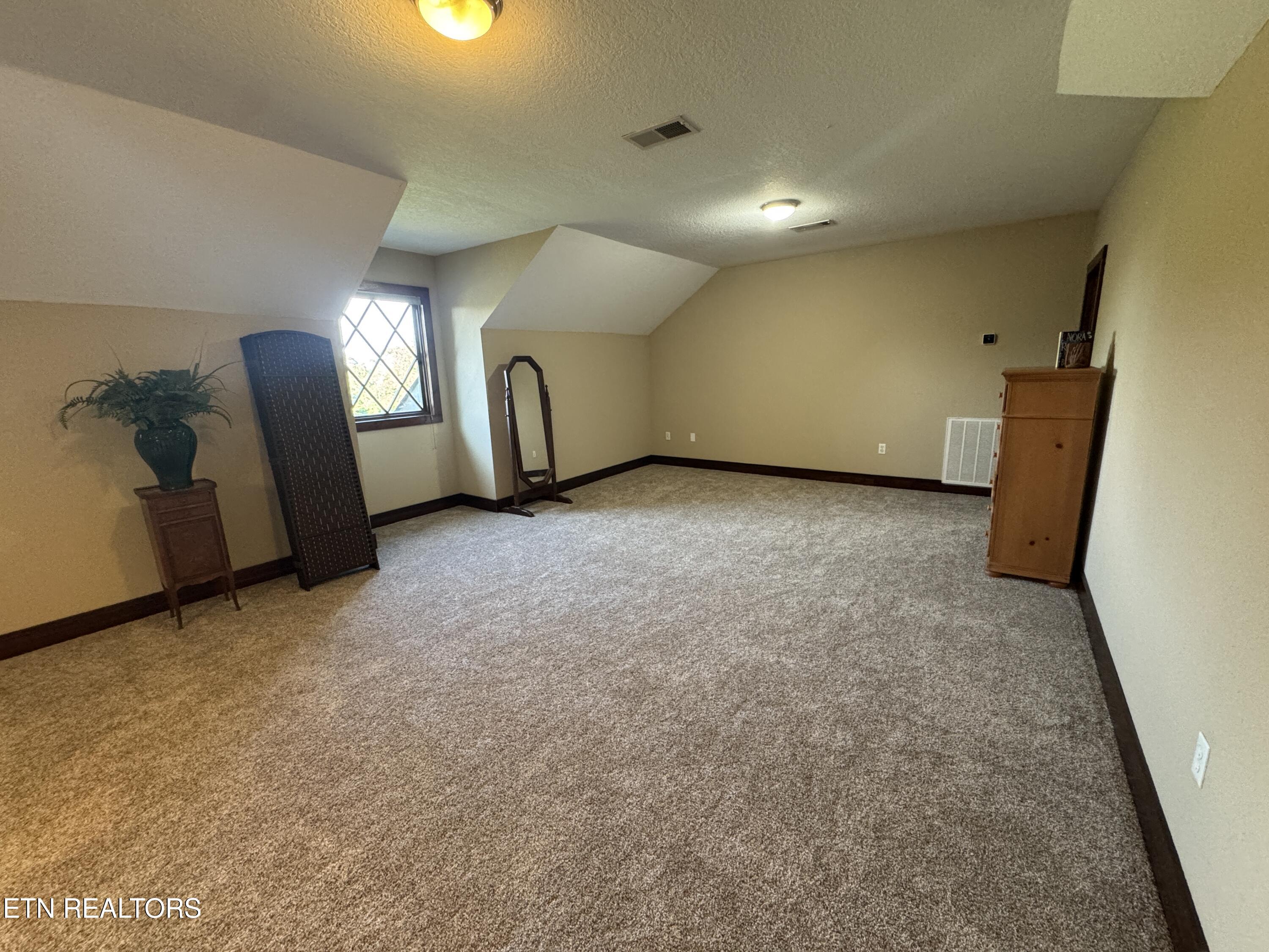 135 Bluffton Road Friendsville, TN 37737 - Photo 26 of 60 2026-09-17 17.36.16