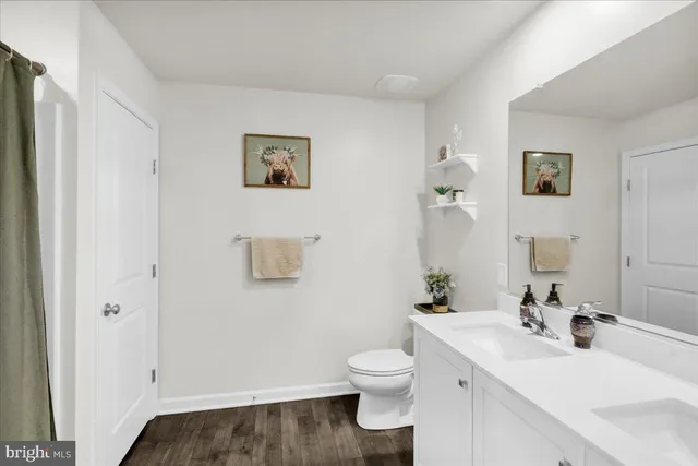 a bathroom with a sink mirror and toilet