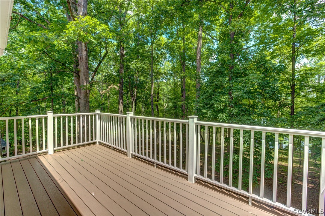 575 Blue Goose Road Crozier, VA 23039 - Photo 36 of 47 Gallery Image 36
