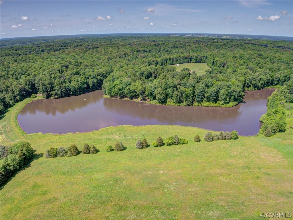 575 Blue Goose Road Crozier, VA 23039 - Photo 4 of 47 Gallery Image 4