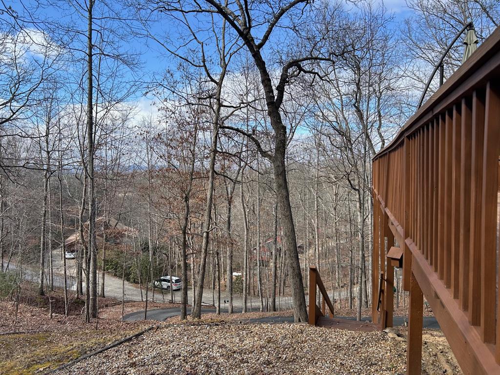 39 Thomas Ridge Lane Blairsville, GA 30512 - Photo 3 of 19 a backyard of a house with lots of green space