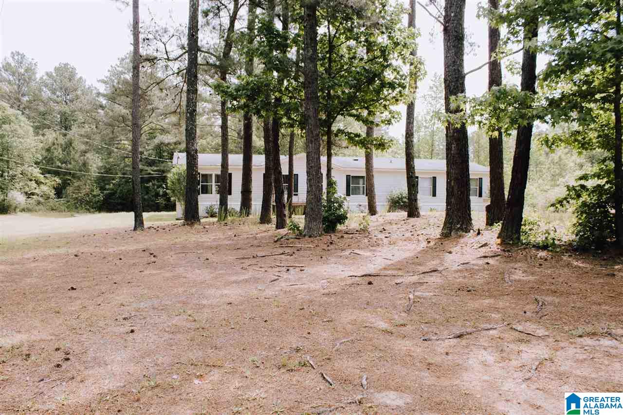 65 Mountainview Road Wellington, AL 36279 - Photo 3 of 37