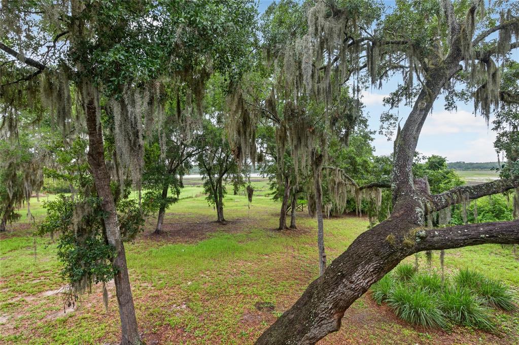 104 Long Pond Way Hawthorne, FL 32640 - Photo 43 of 76