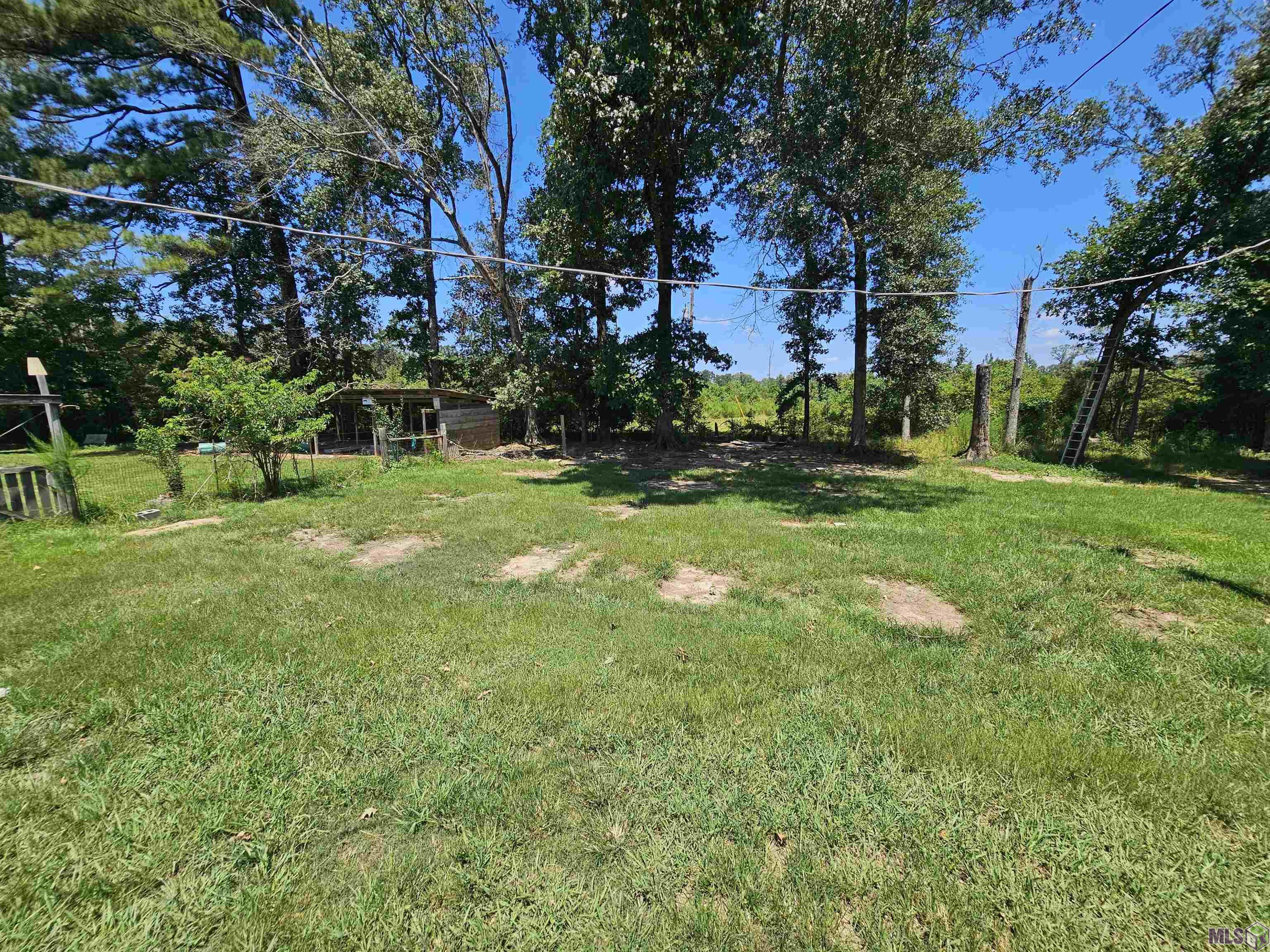 162 Jim Price Road Clinton, LA 70722 - Photo 4 of 15