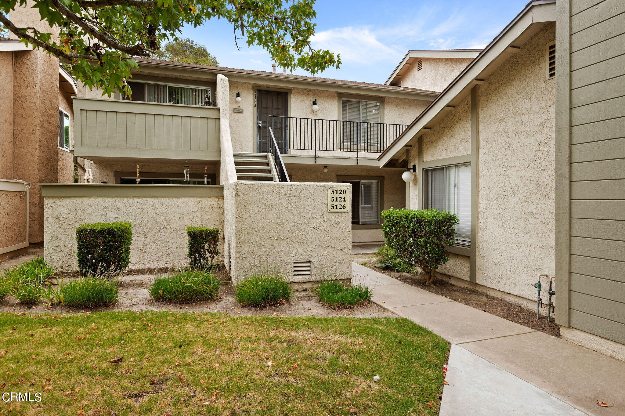 a house that has a tree in front of the house
