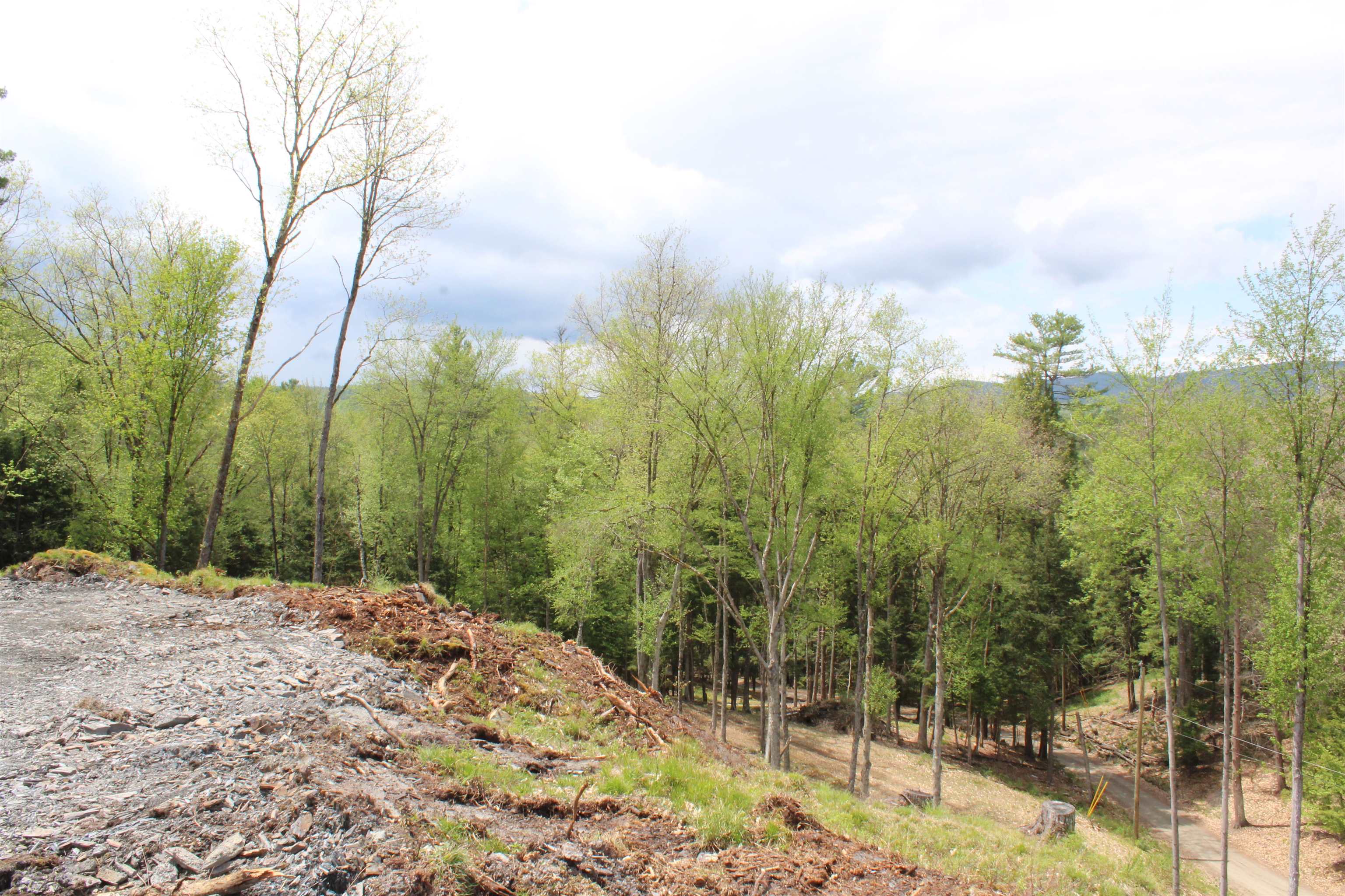 Lot 23-24 Wetherbee Road Lyman, NH 03585 - Photo 16 of 54