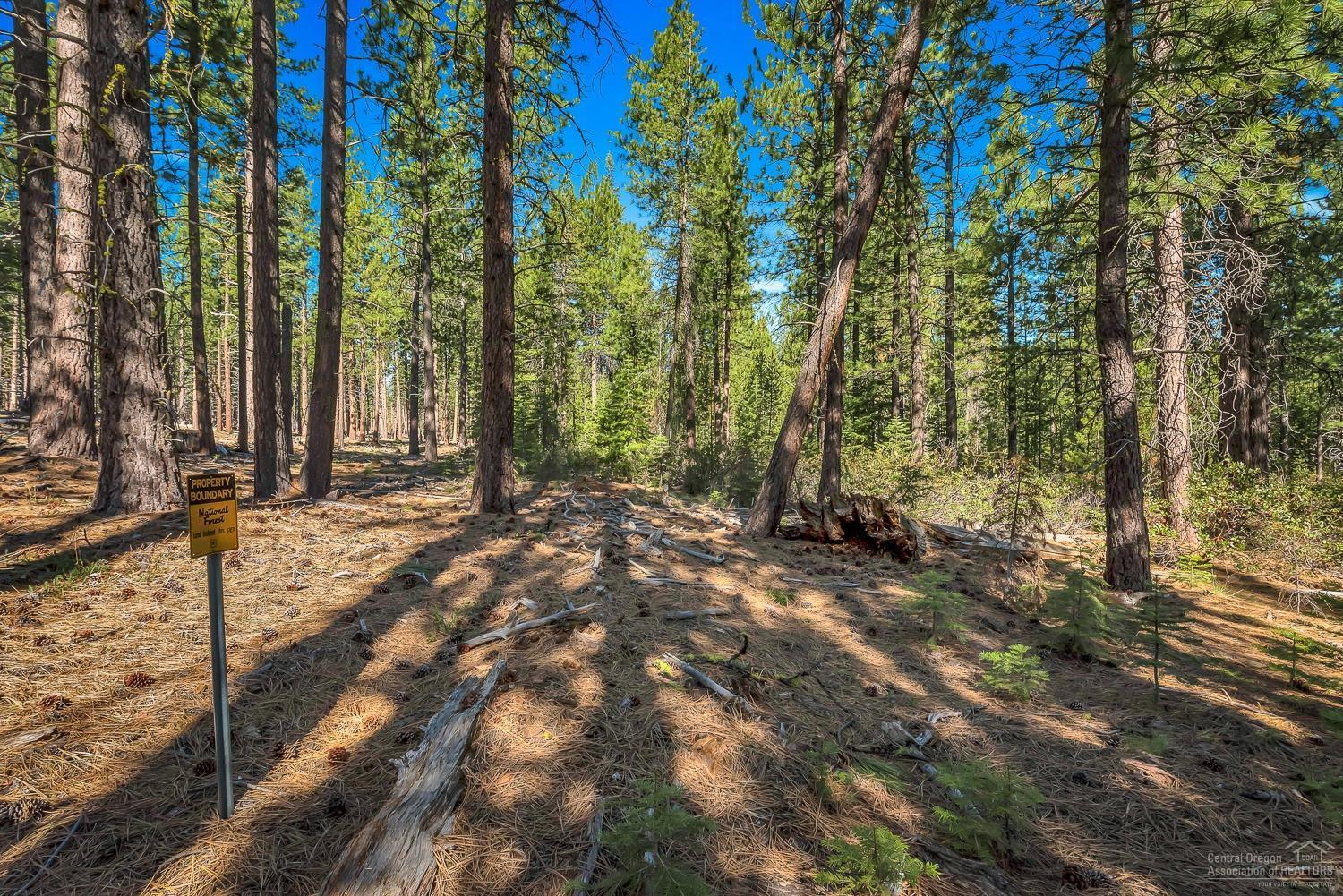 16661 Skyliners Road Bend, OR 97703 - Photo 5 of 24 Additional Photo