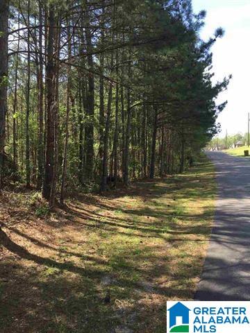 1331 Cedar Creek Road, Unit 4 ACRES Odenville, AL 35120 - Photo 18 of 20