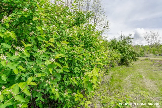 $169,900 | V/l East V/l E M-79 Highway, Nashville, MI 49073