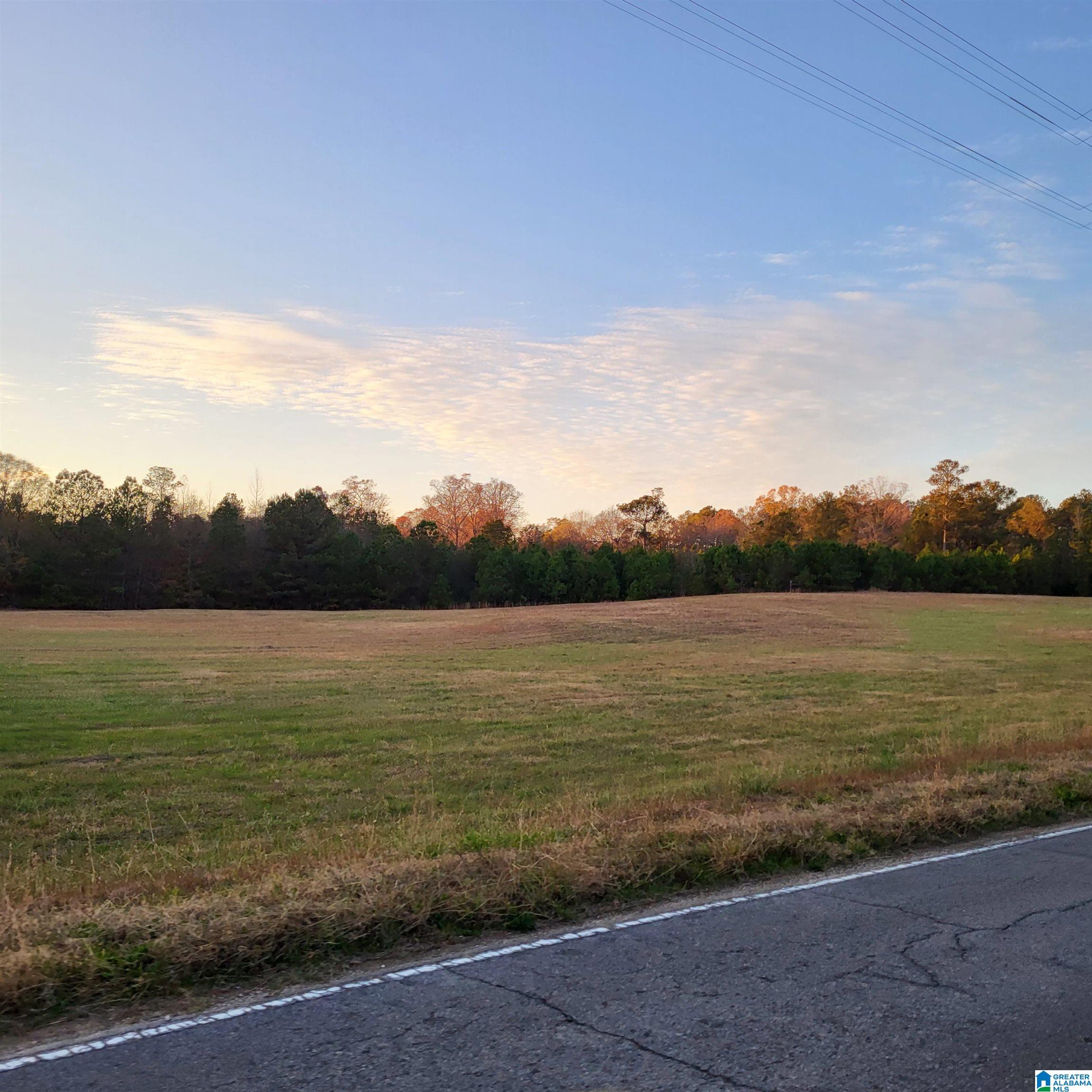 0 Nisbet Lake Road Jacksonville, AL 36265 - Photo 1 of 9