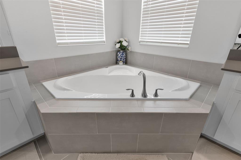 11791 Language Way Orlando, FL 32832 - Photo 36 of 72 Gallery Image 36