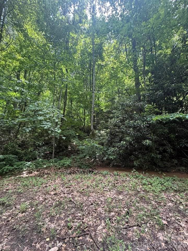 0 Summit Road, Unit 343 Tryon, NC 28782 - Photo 6 of 18