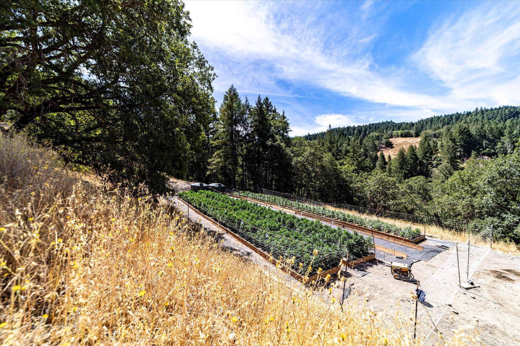 0 West River Road Bridgeville, CA 95526 - Photo 13 of 32