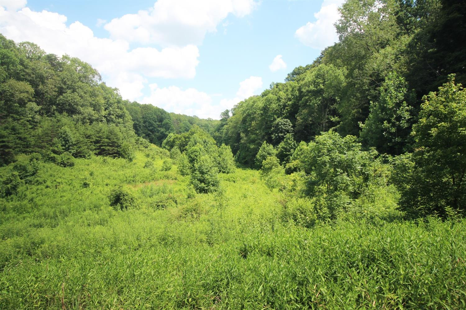 1 Virden Ridge Road Clay City, KY 40312 - Photo 2 of 26 Photo 5
