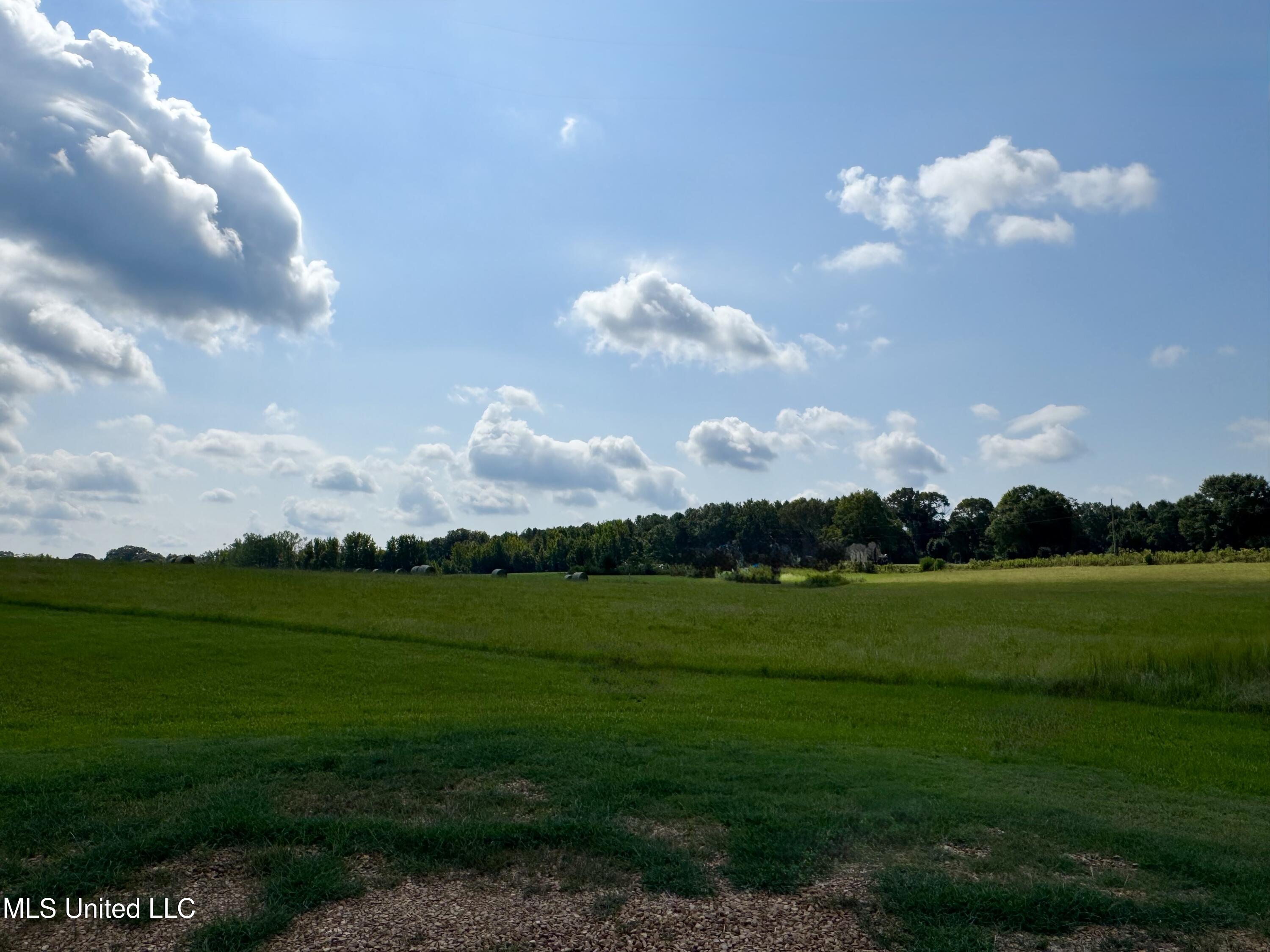 R6 Old Highway 16 Benton, MS 39039 - Photo 9 of 12 IMG_8880