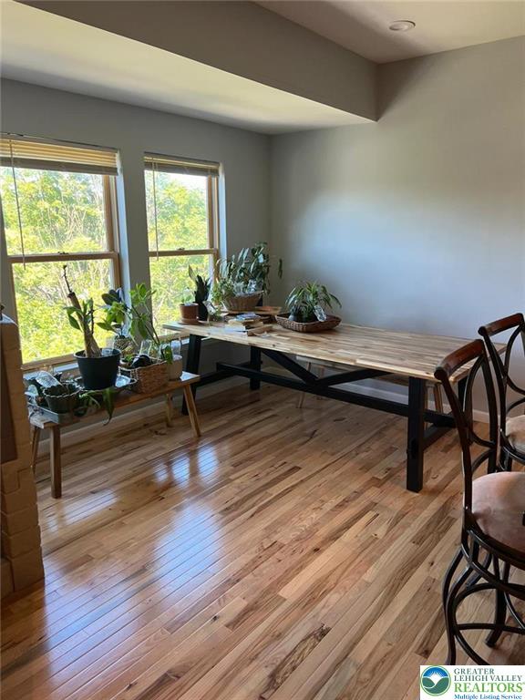 623 Walnut Street, Unit C2 Easton, PA 18042 - Photo 6 of 26 a living room with furniture and a wooden floor