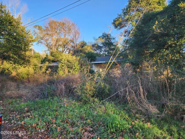 $12,000 | 58 Grayson Drive, Brunson, SC 29911