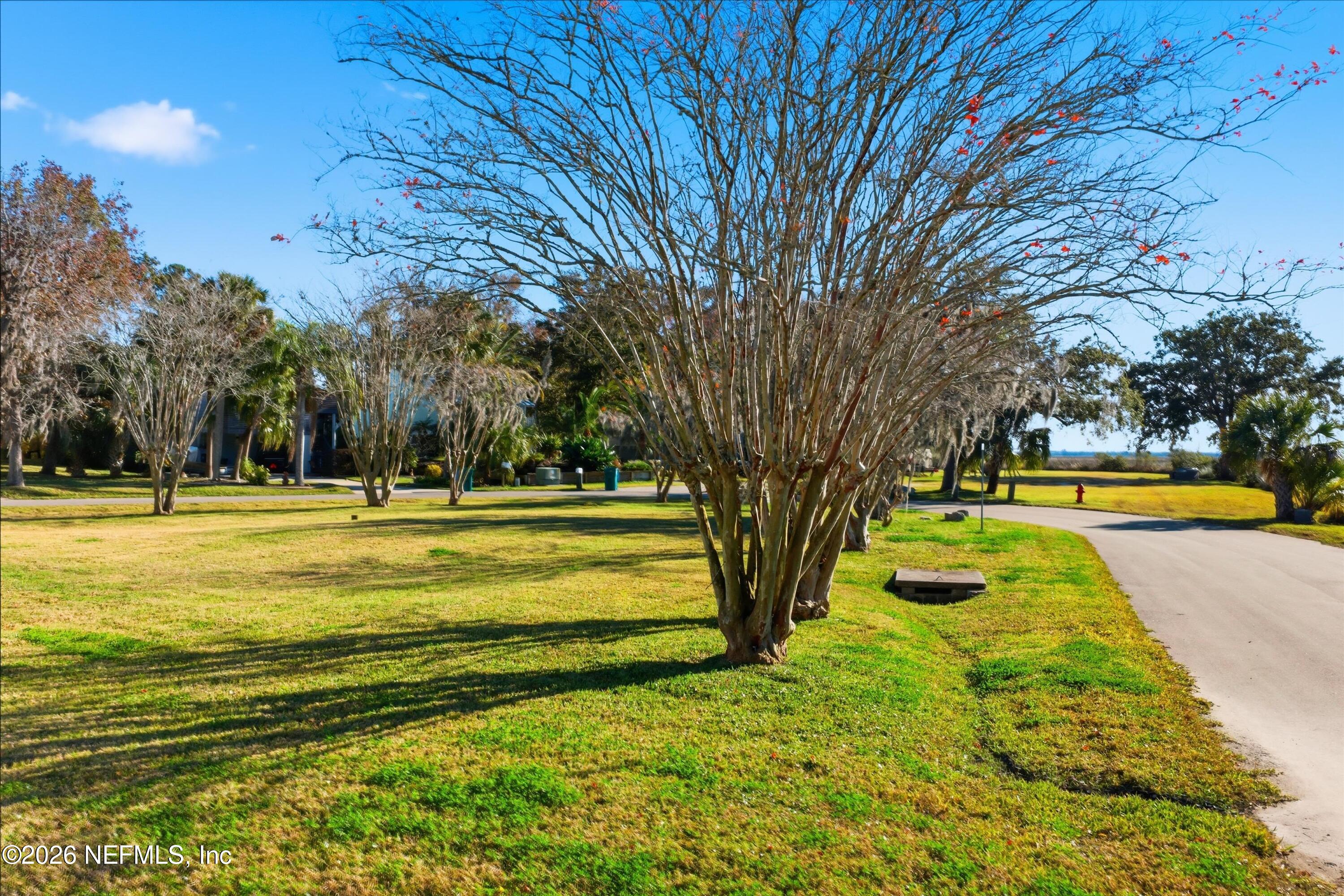 0 Marsh Point Road Neptune Beach, FL 32266 - Photo 9 of 14 a view of swimming pool with tree s