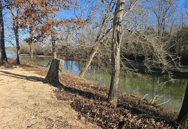 a view of a yard with large trees