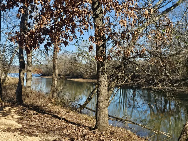 a view of lake with a tree