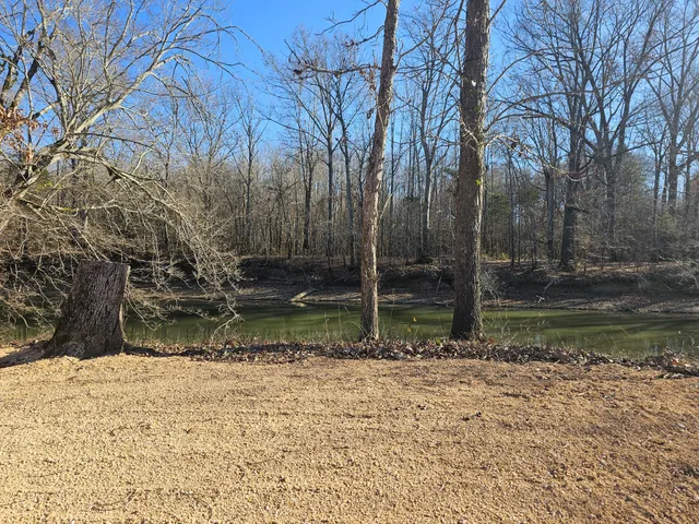a backyard of a house