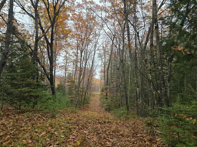 $429,000 | 0 West Alna Road, Alna, ME 04535