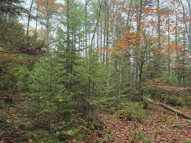 $429,000 | 0 West Alna Road, Alna, ME 04535