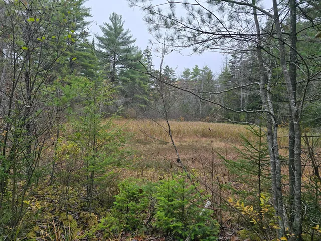 $429,000 | 0 West Alna Road, Alna, ME 04535