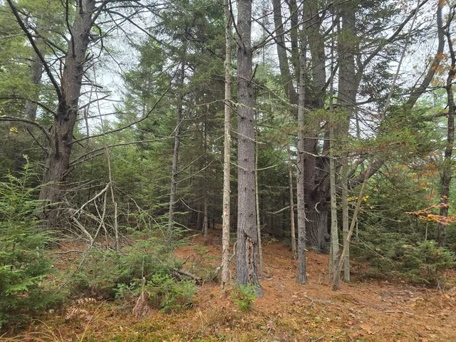 $429,000 | 0 West Alna Road, Alna, ME 04535