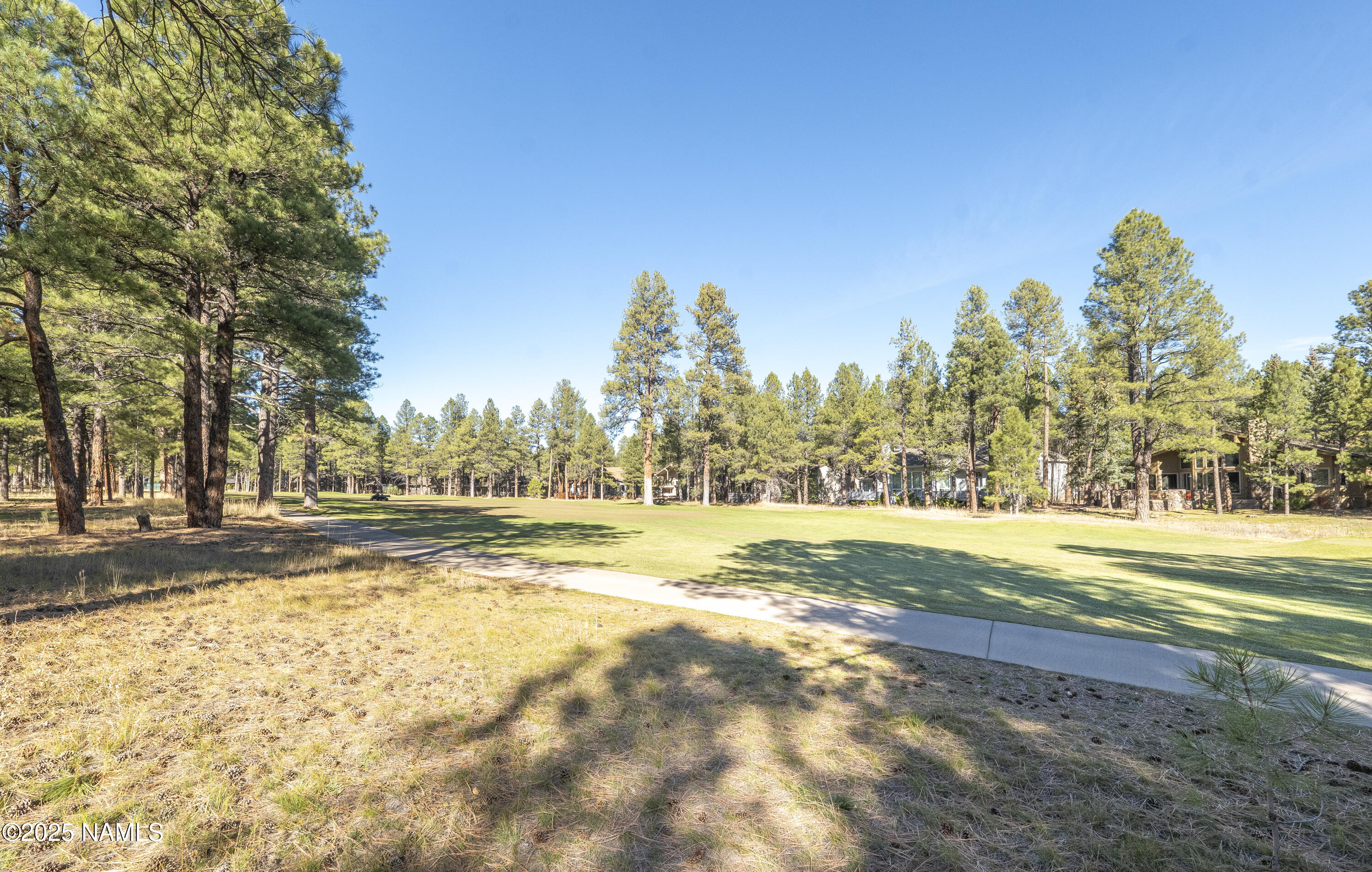 5790 Griffiths Spring Flagstaff, AZ 86005 - Photo 14 of 47 a view of a yard with swimming pool and trees