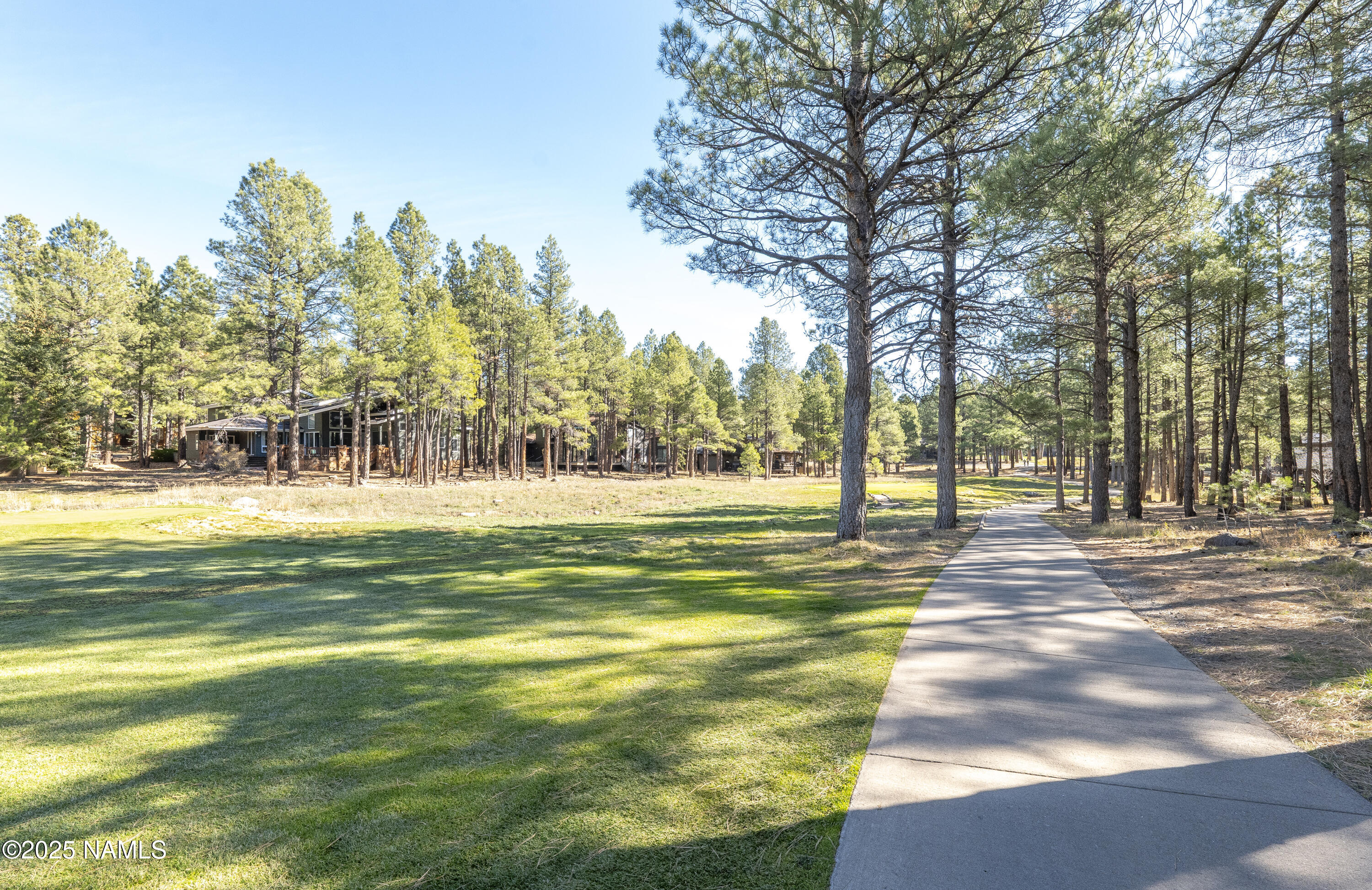 5790 Griffiths Spring Flagstaff, AZ 86005 - Photo 15 of 47 a view of yard with trees