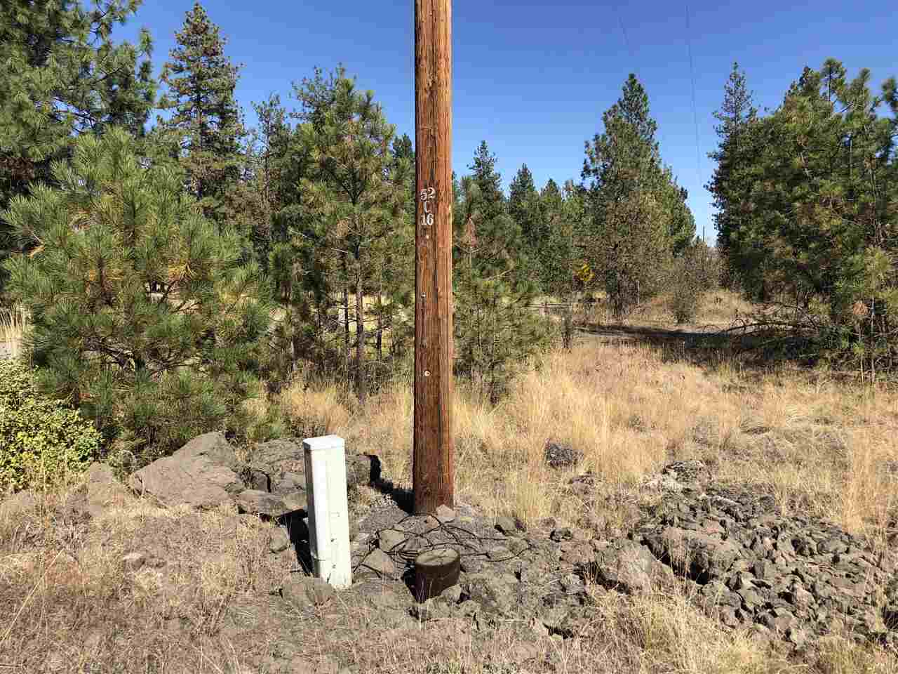 0 North Craig Road Nine Mile Falls, WA 99026 - Photo 2 of 19 Gallery Image 2