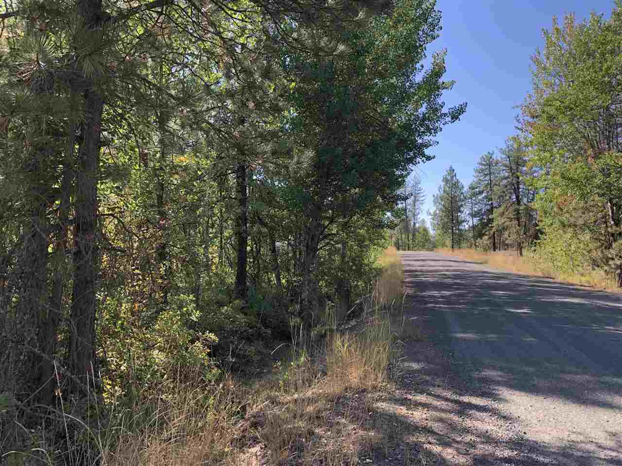 0 North Craig Road Nine Mile Falls, WA 99026 - Photo 11 of 19 Gallery Image 11