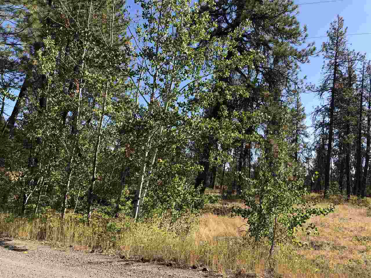 0 North Craig Road Nine Mile Falls, WA 99026 - Photo 13 of 19 Gallery Image 13