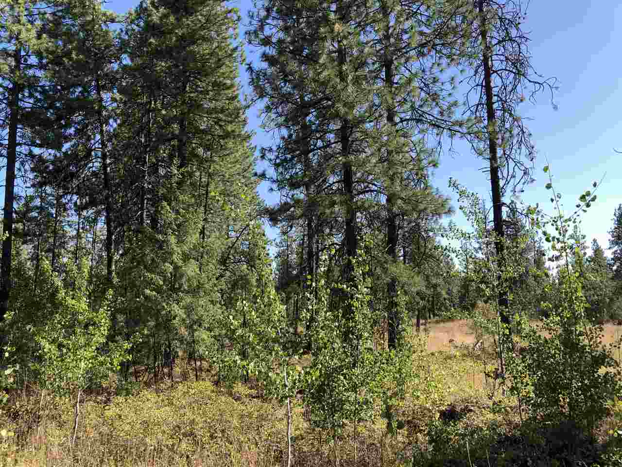 0 North Craig Road Nine Mile Falls, WA 99026 - Photo 14 of 19 Gallery Image 14