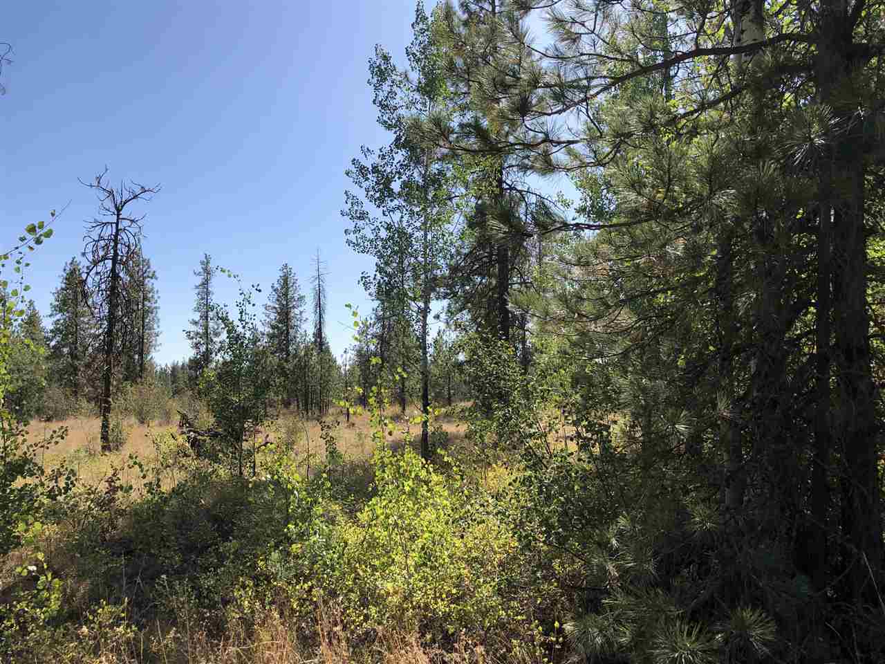 0 North Craig Road Nine Mile Falls, WA 99026 - Photo 15 of 19 Gallery Image 15