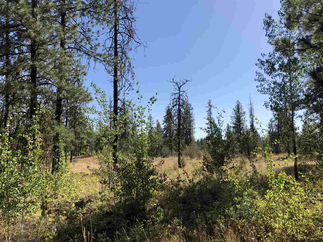 0 North Craig Road Nine Mile Falls, WA 99026 - Photo 16 of 19 Gallery Image 16