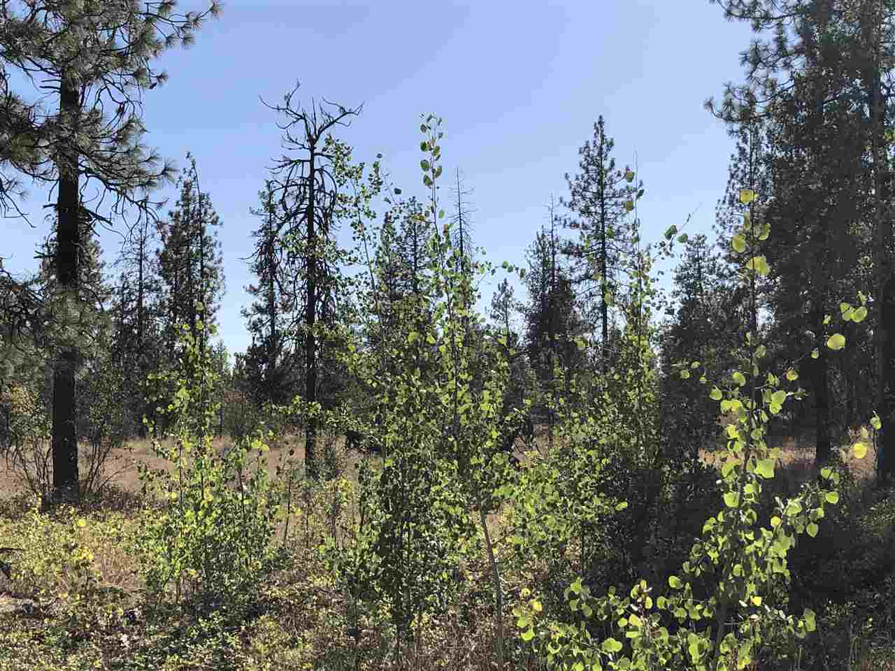 0 North Craig Road Nine Mile Falls, WA 99026 - Photo 17 of 19 Gallery Image 17