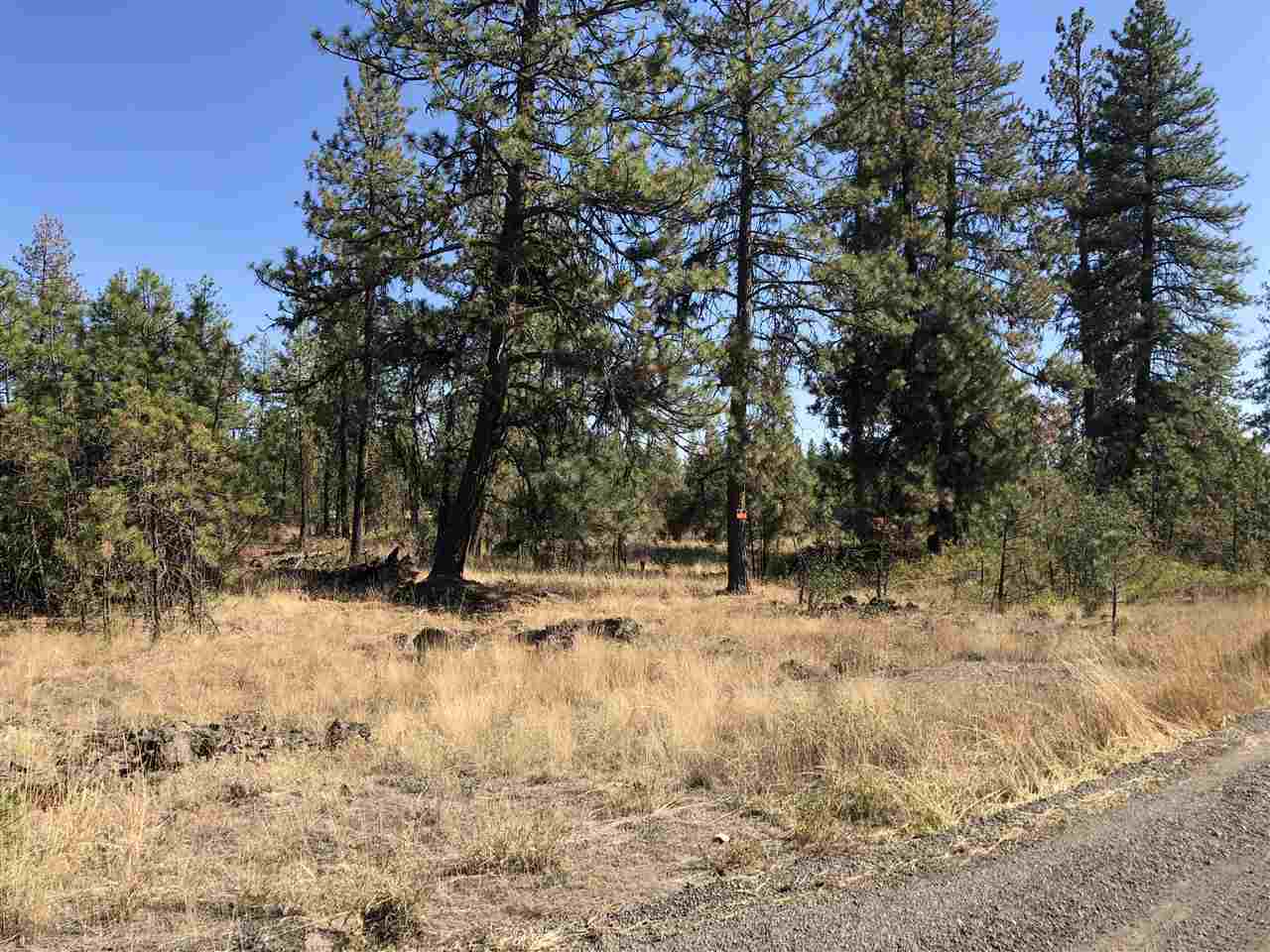 0 North Craig Road Nine Mile Falls, WA 99026 - Photo 18 of 19 Gallery Image 18