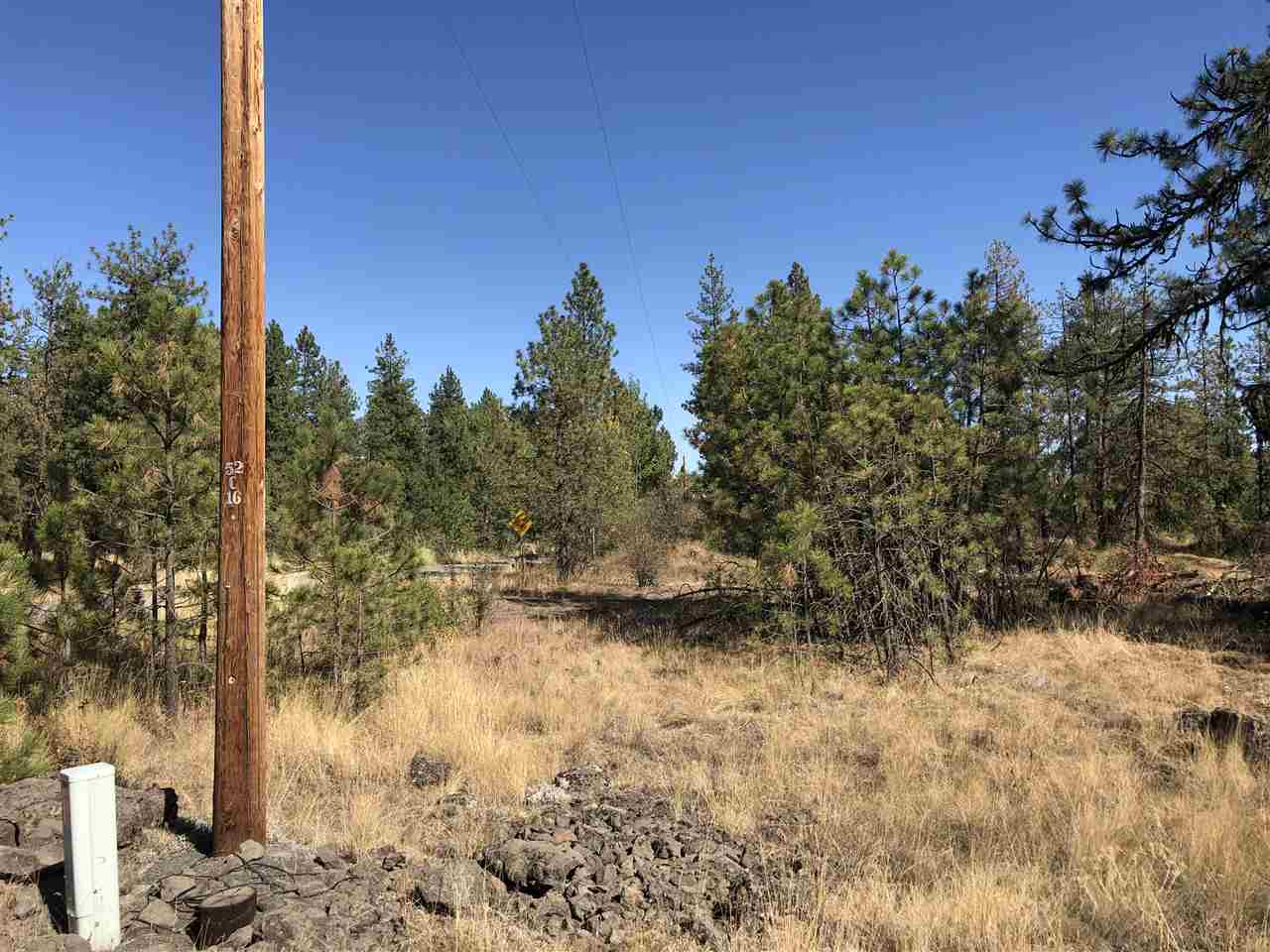 0 North Craig Road Nine Mile Falls, WA 99026 - Photo 3 of 19 Gallery Image 3