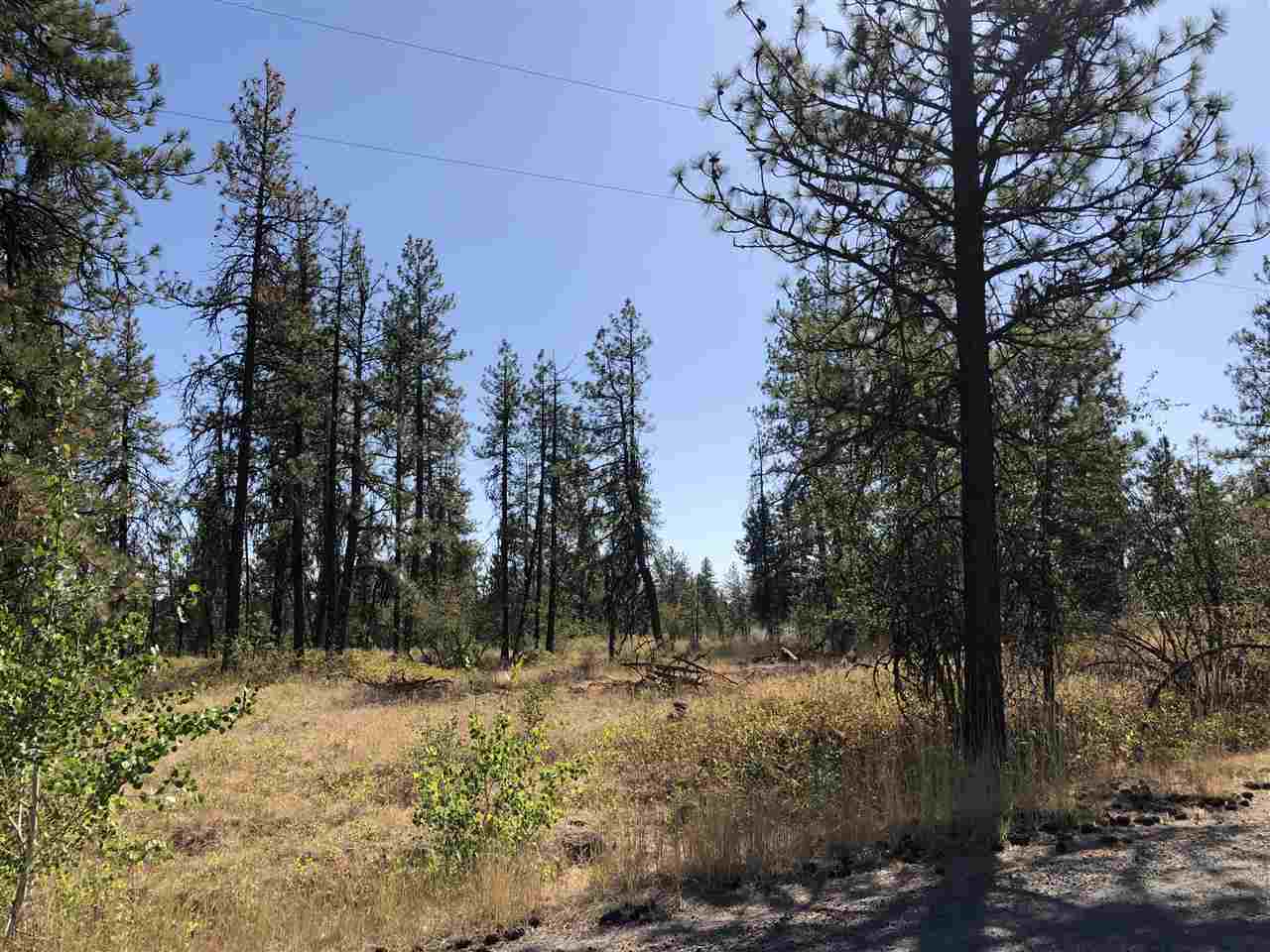 0 North Craig Road Nine Mile Falls, WA 99026 - Photo 10 of 19 Gallery Image 10