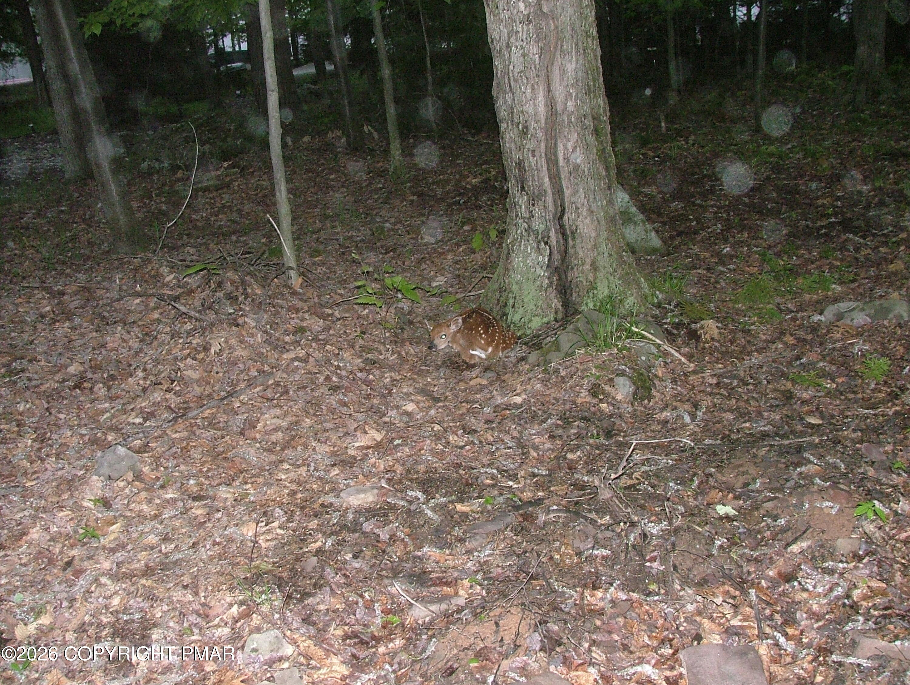 2011 May 23 014
