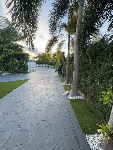 a view of a yard with plants and trees