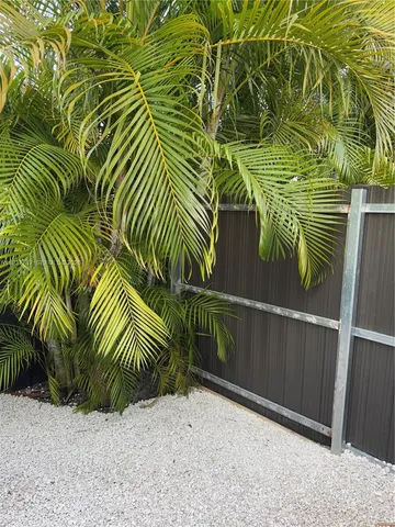 a view of outdoor space and plants