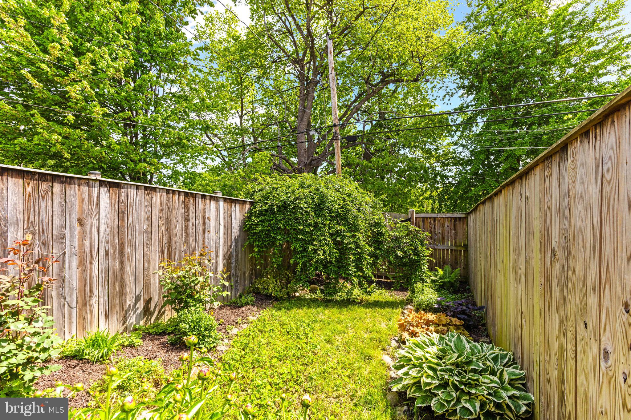 2949 Keswick Road Baltimore, MD 21211 - Photo 22 of 29 Back yard