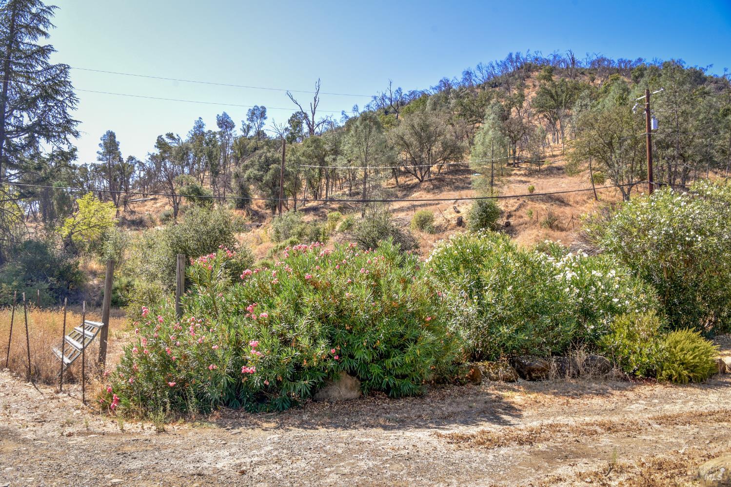 6003 Wragg Canyon Road Napa, CA 94558 - Photo 11 of 16 Gallery Image 11
