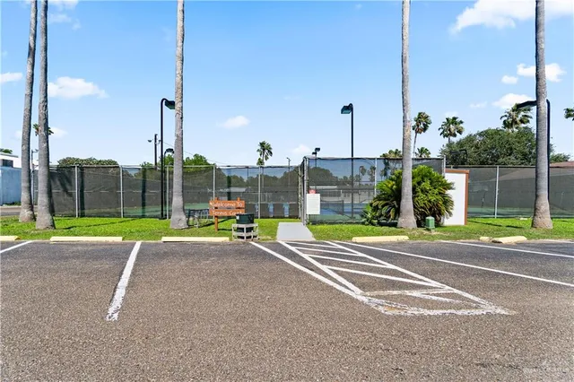 a view of a basketball court with a large tree