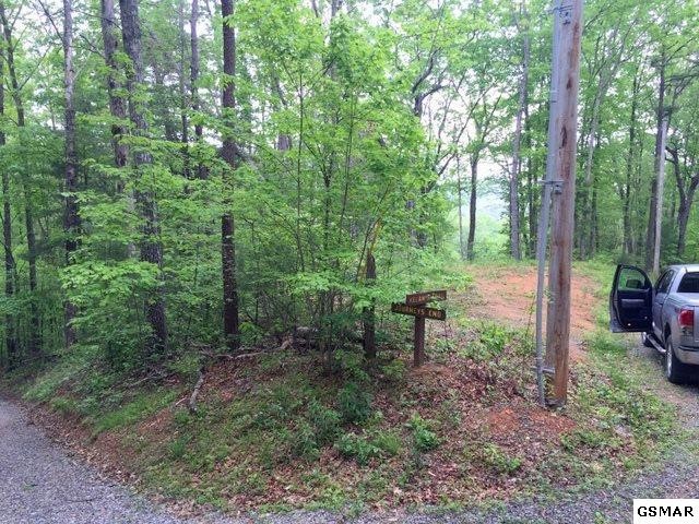 5 Journeys End Road Walland, TN 37886 - Photo 9 of 17 Gallery Image 9