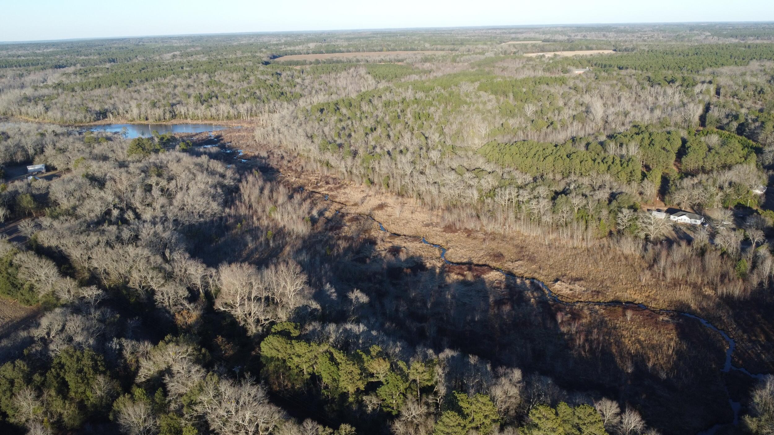 0 Millers Pond Road Salley, SC 29137 - Photo 6 of 28