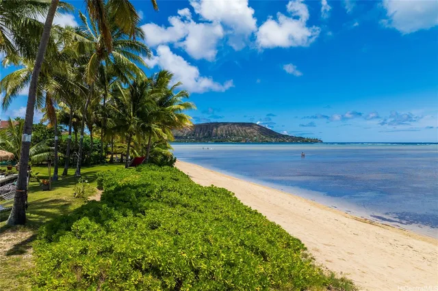 a view of a yard with an trees